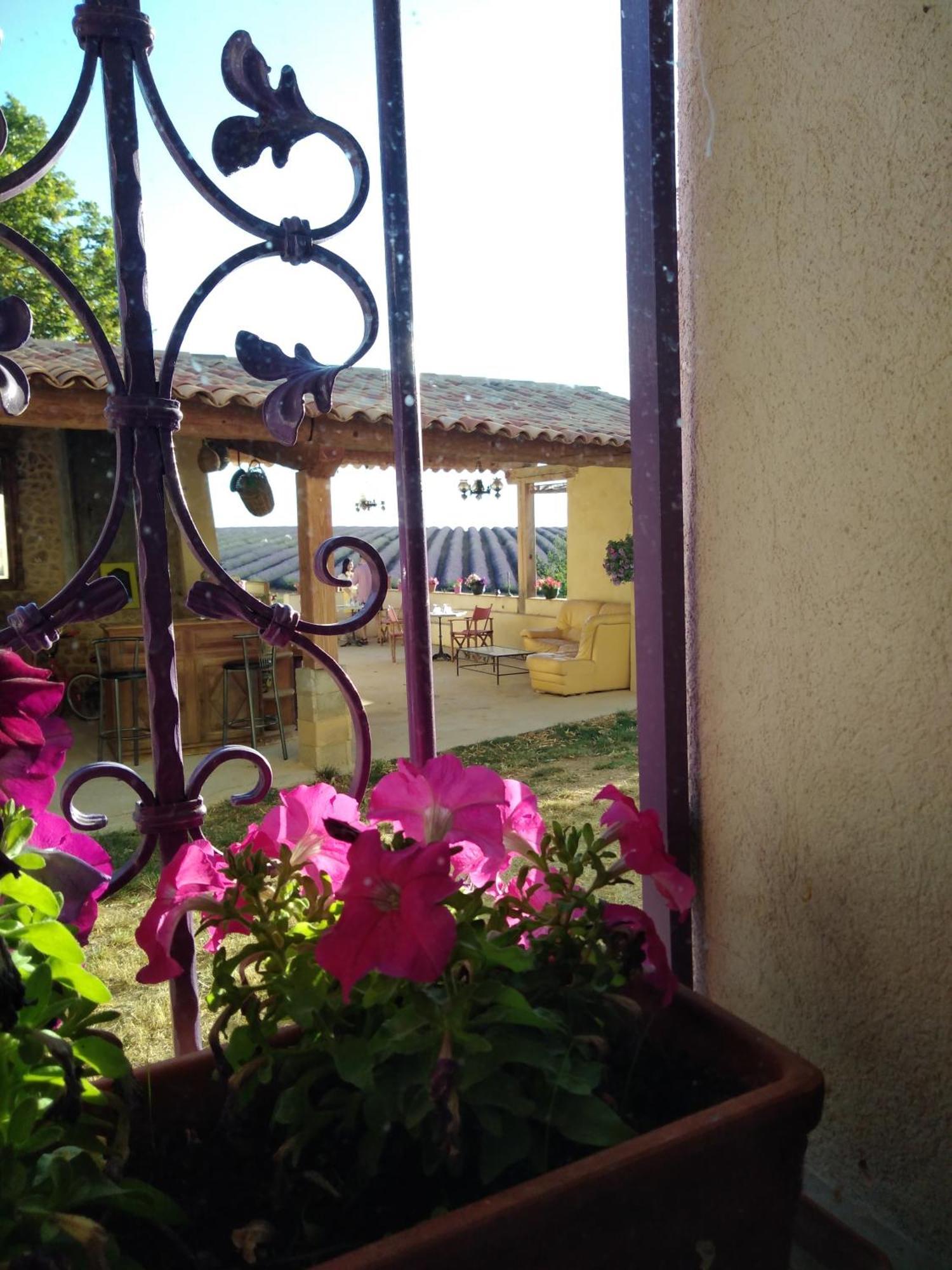 Chambre A La Ferme Au Milieu Des Lavandes Valensole Exterior foto